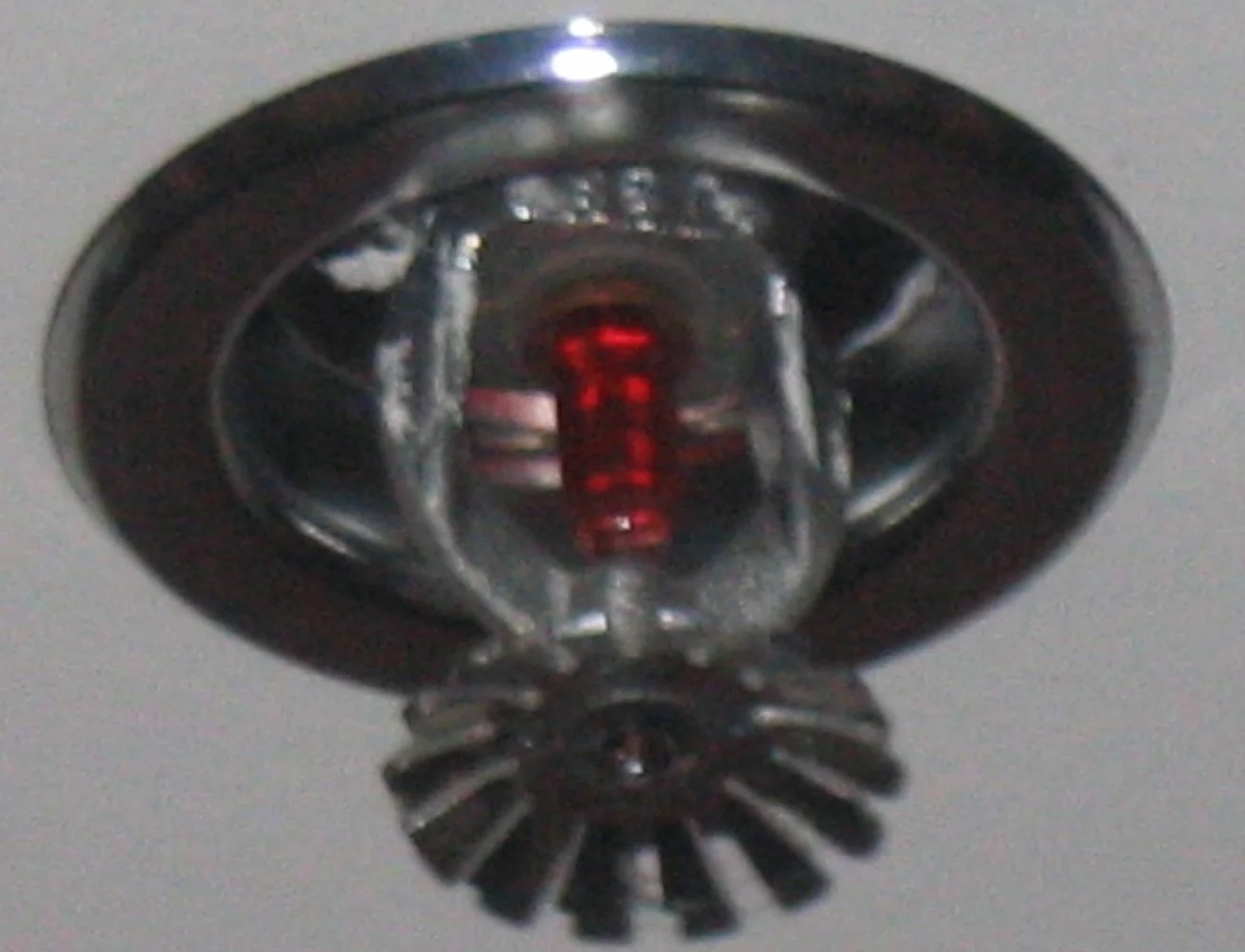 Fire Hose Water Damage Cleanup in Jacksonville, FL