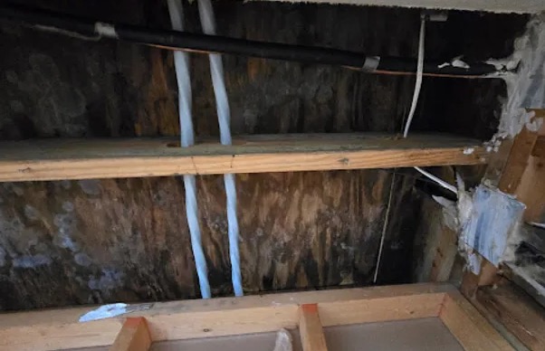 Attic Damage Restoration in Jacksonville, FL