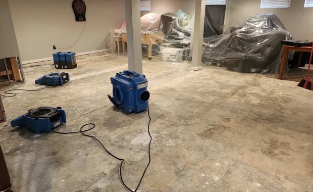 Sanitization & Disinfection Services in Blackshear, GA